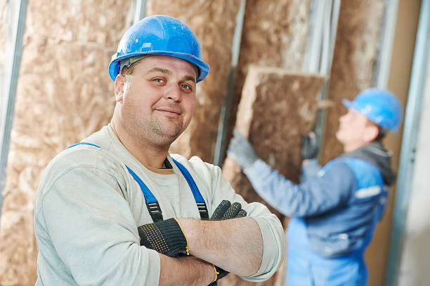 Best Cellulose Insulation in Pimmit Hills, VA