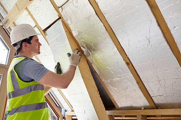 Best Fiberglass Insulation in Pimmit Hills, VA