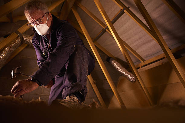Best Specialized Insulation Services in Pimmit Hills, VA